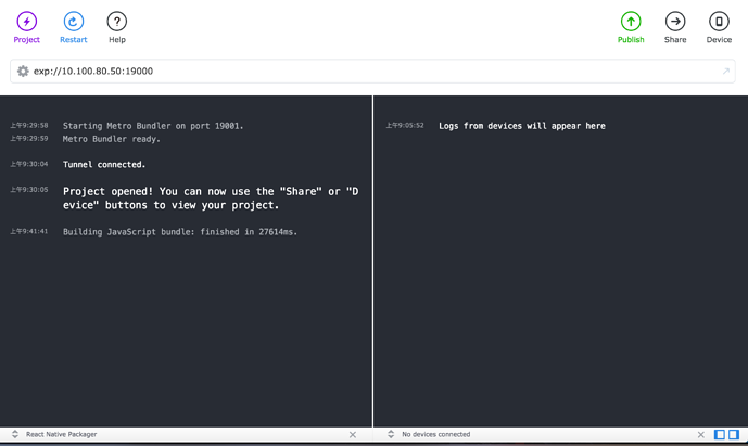 console log can not print logs in xde with ipad but iphone can